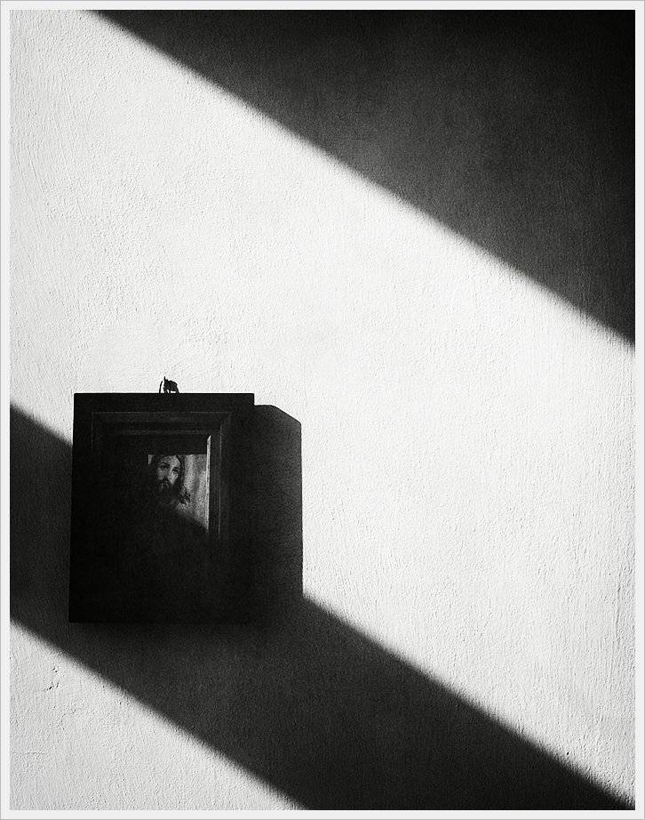 Автор: Krzysztof Trojanowski , Krzysztof Trojanowski