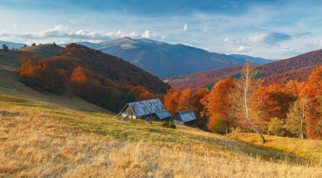 , Ярослав Тюрменко (Jaremi)