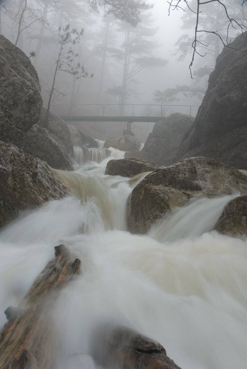 , Саша  Вайсберг.