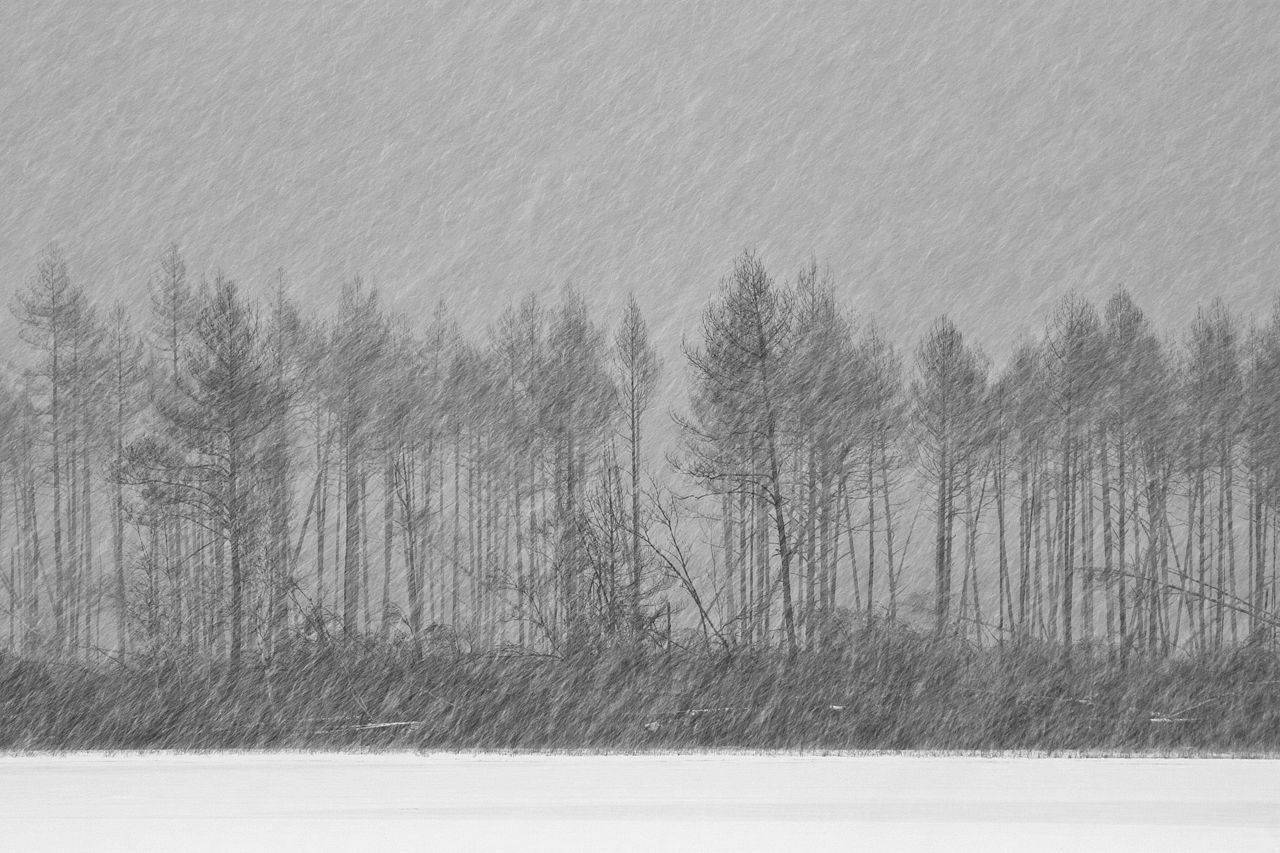 снег, природа, зима, метель, озеро, Шарапов Сергей