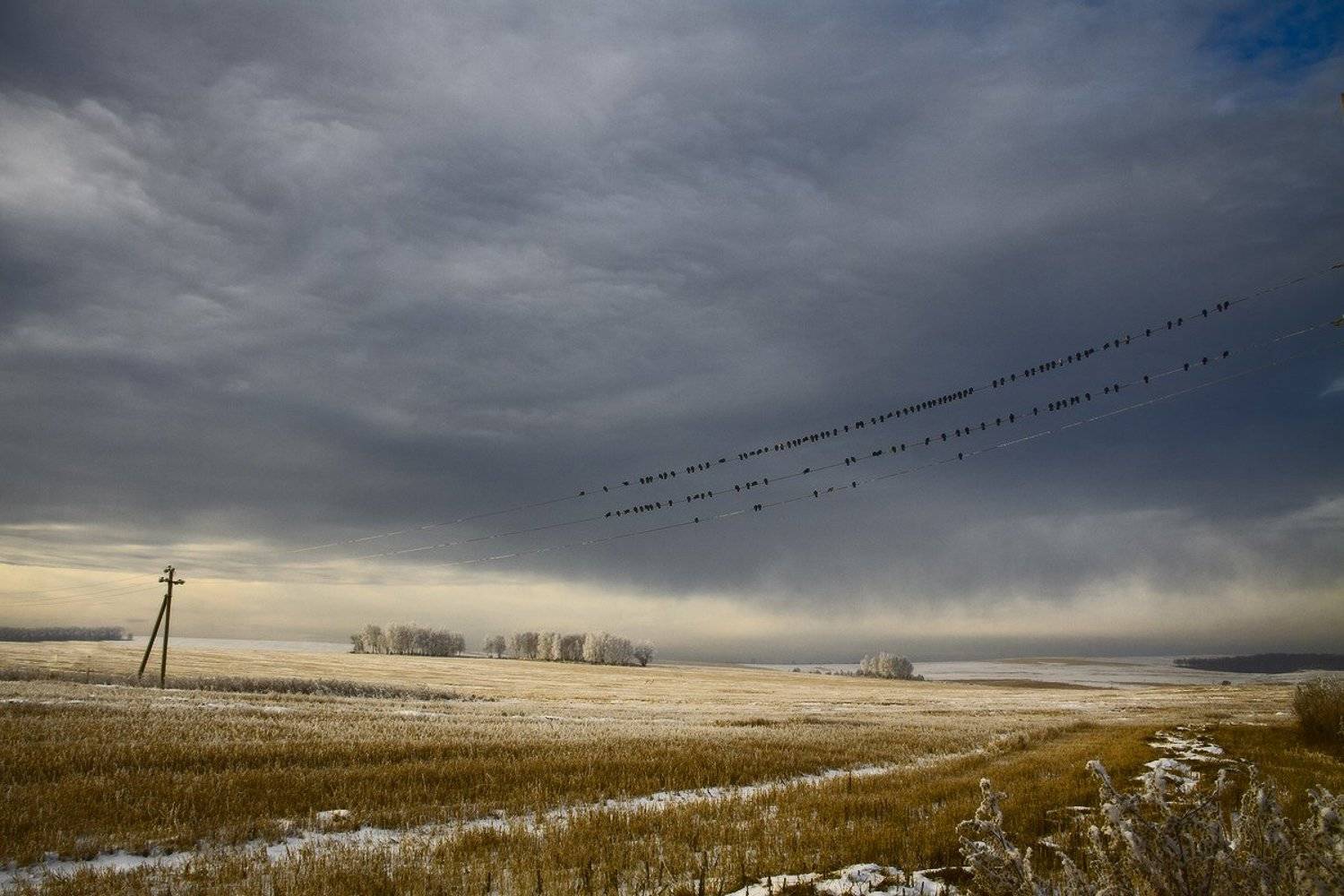 , Николай Морский