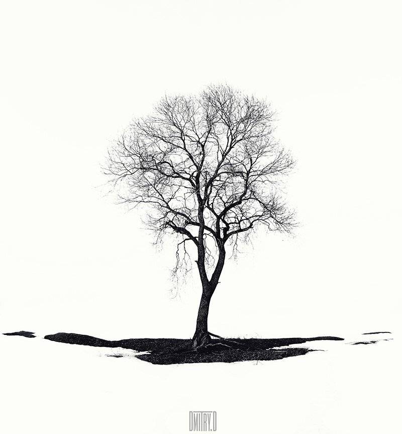 , Дмитрий Доронин