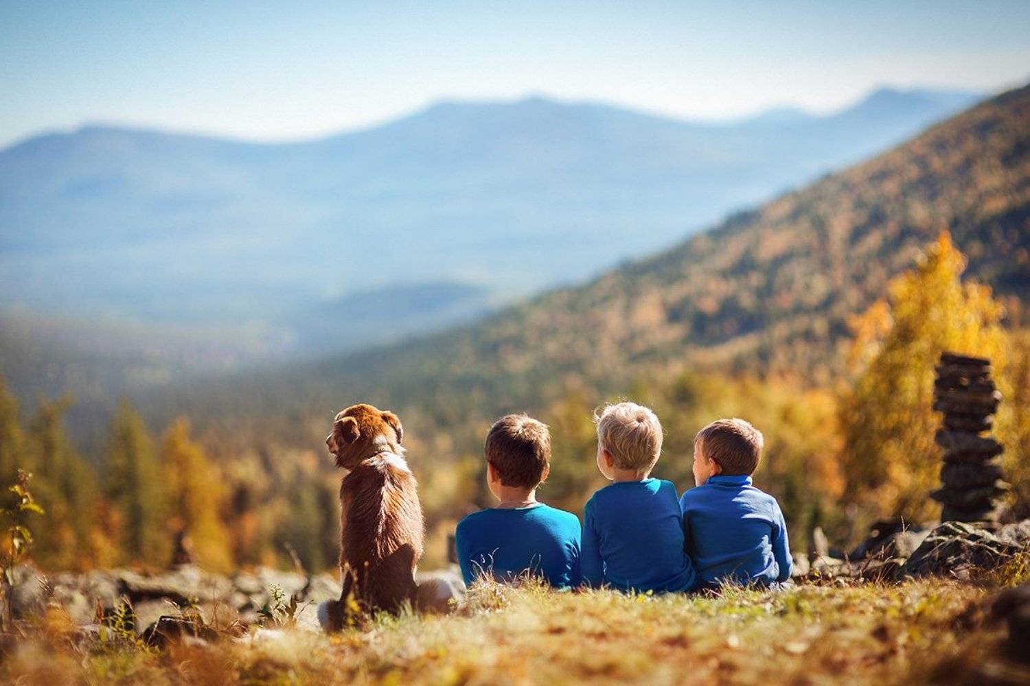 , Светлана Тимис