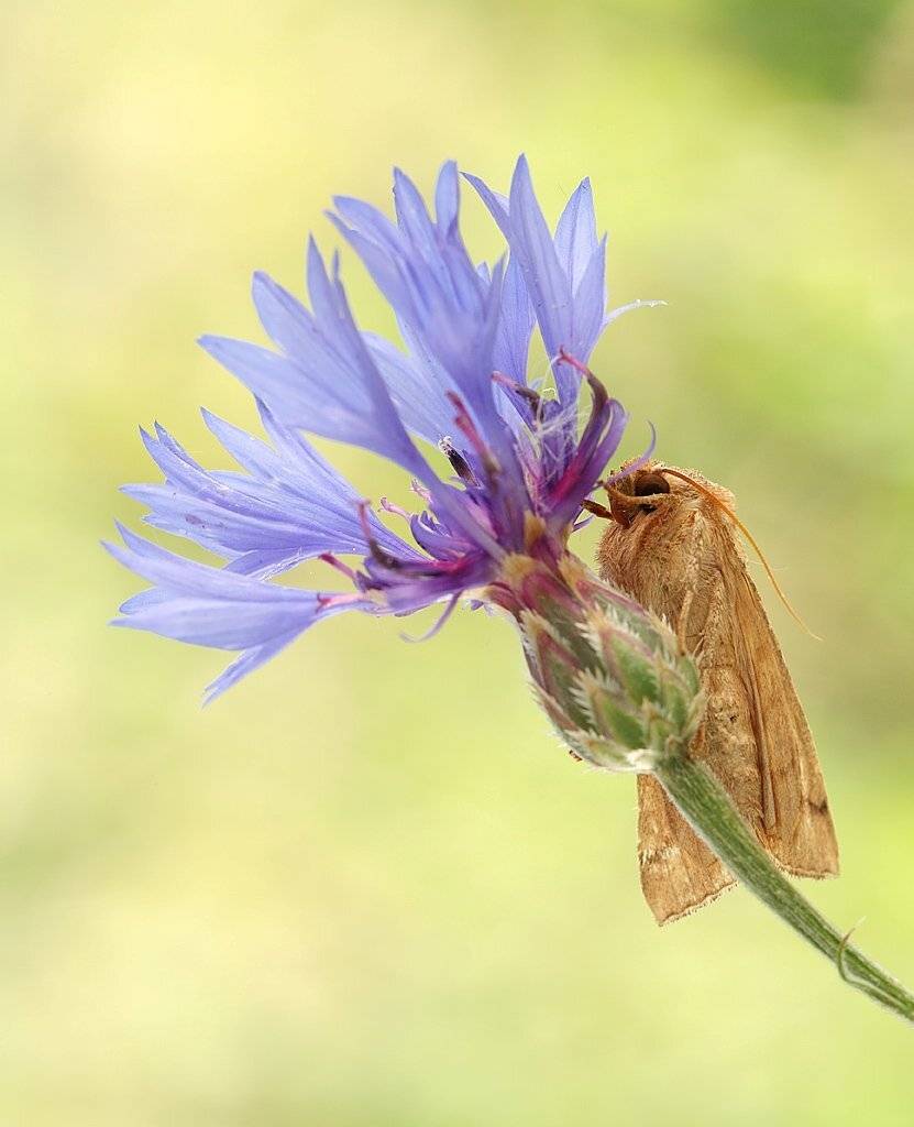 , Сергей Таланов
