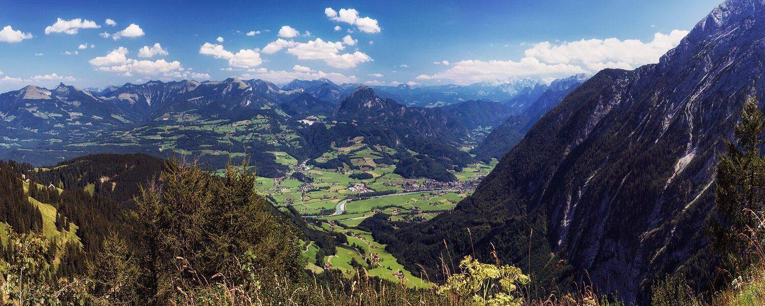 , Игорь Мелекесцев