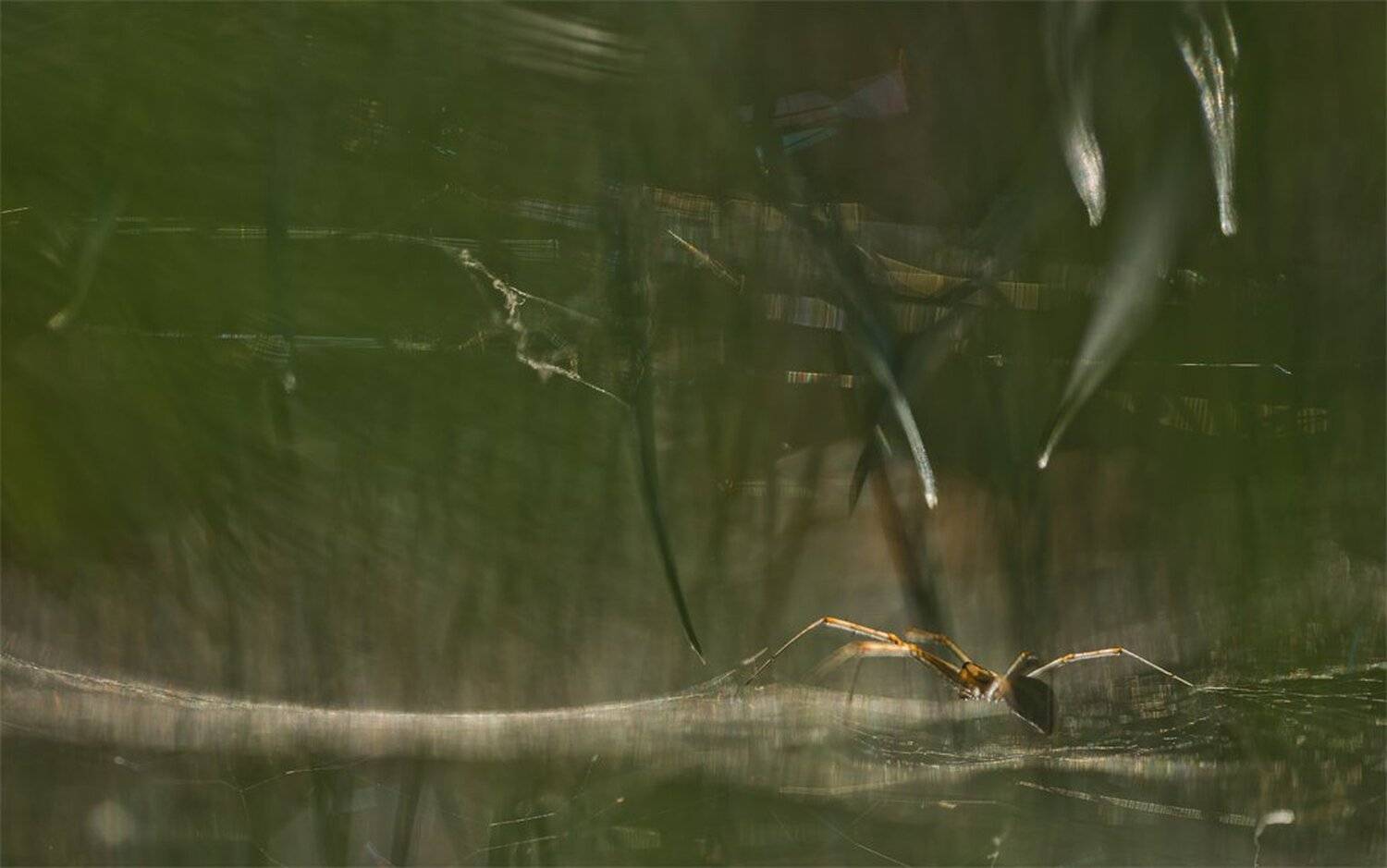 , Геннадий Мещеряков