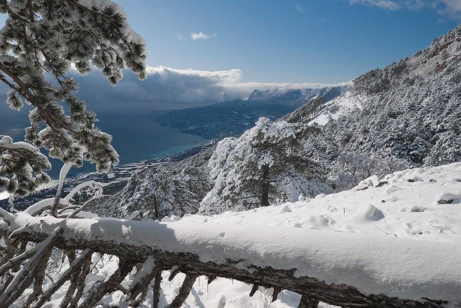 , Саша  Вайсберг.