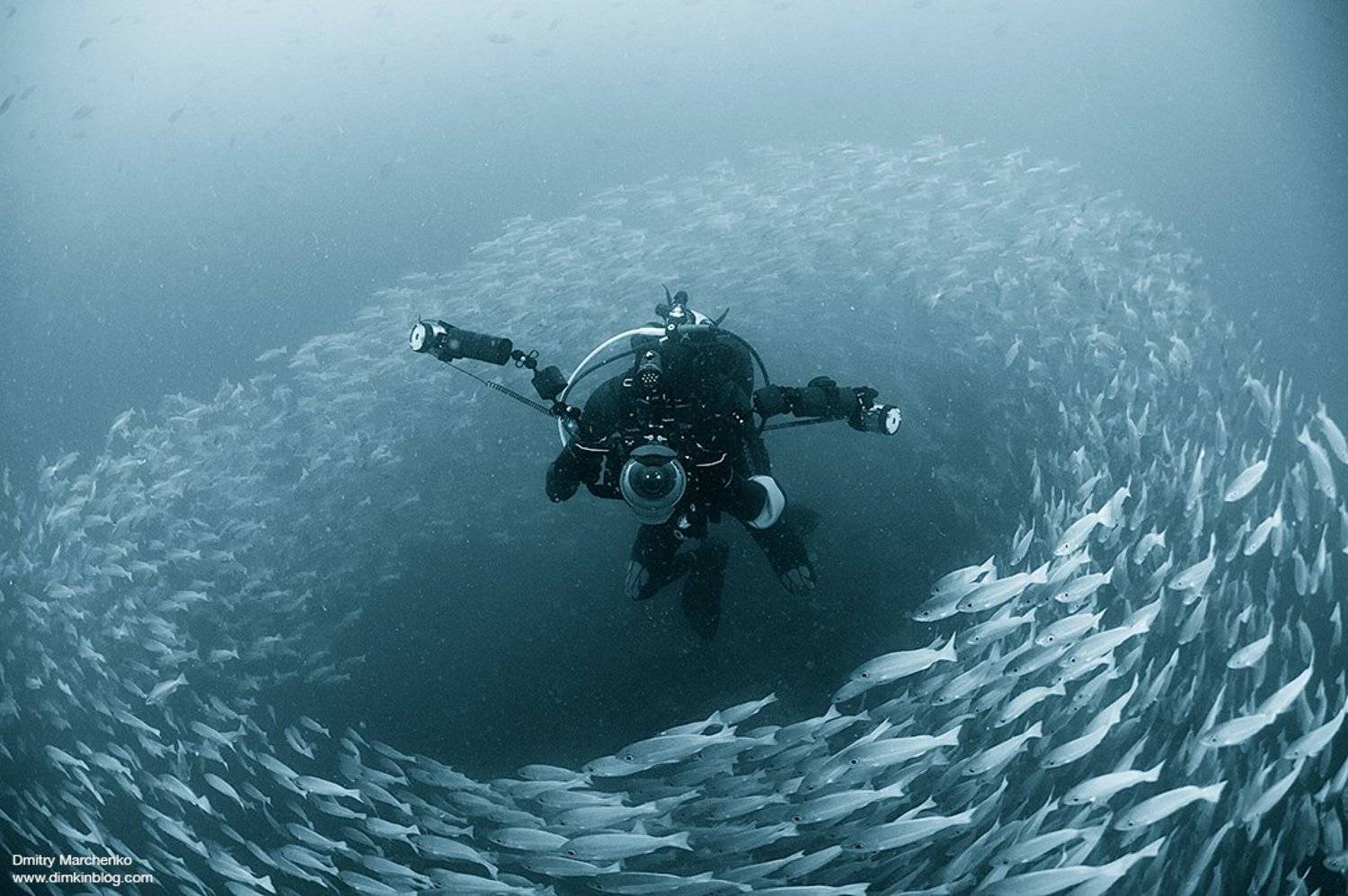 , Дмитрий Марченко