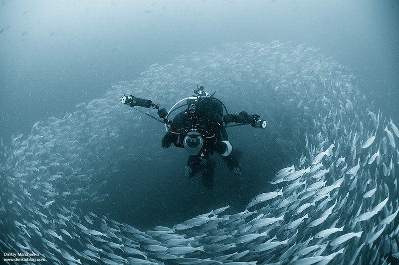 Пастух фото превью