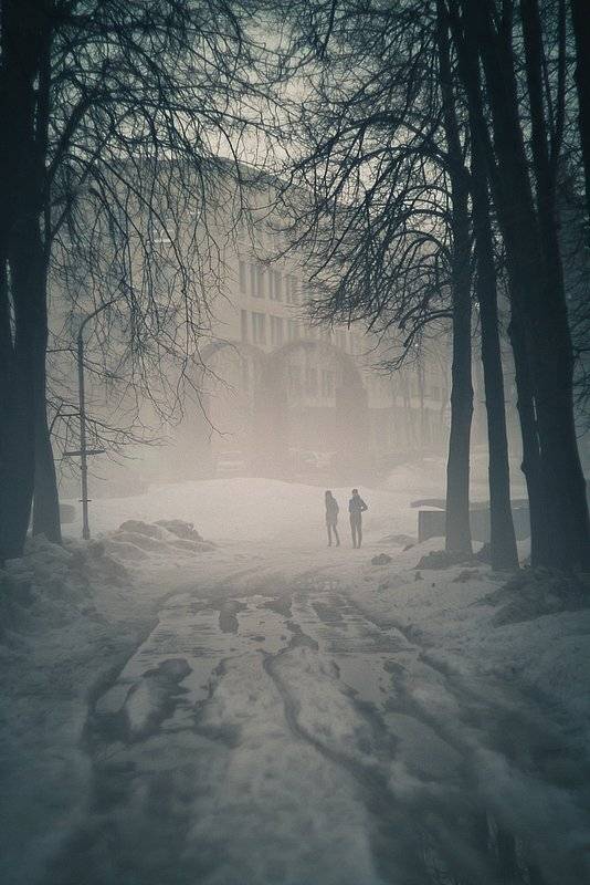 туман, парк, весна, снег, Шарапов Сергей