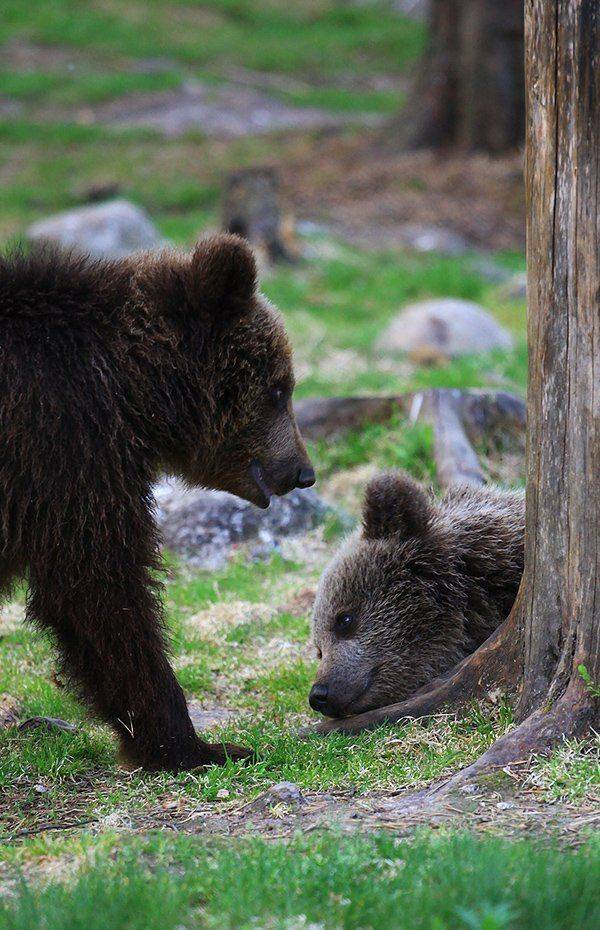 , Valtteri Mulkahainen