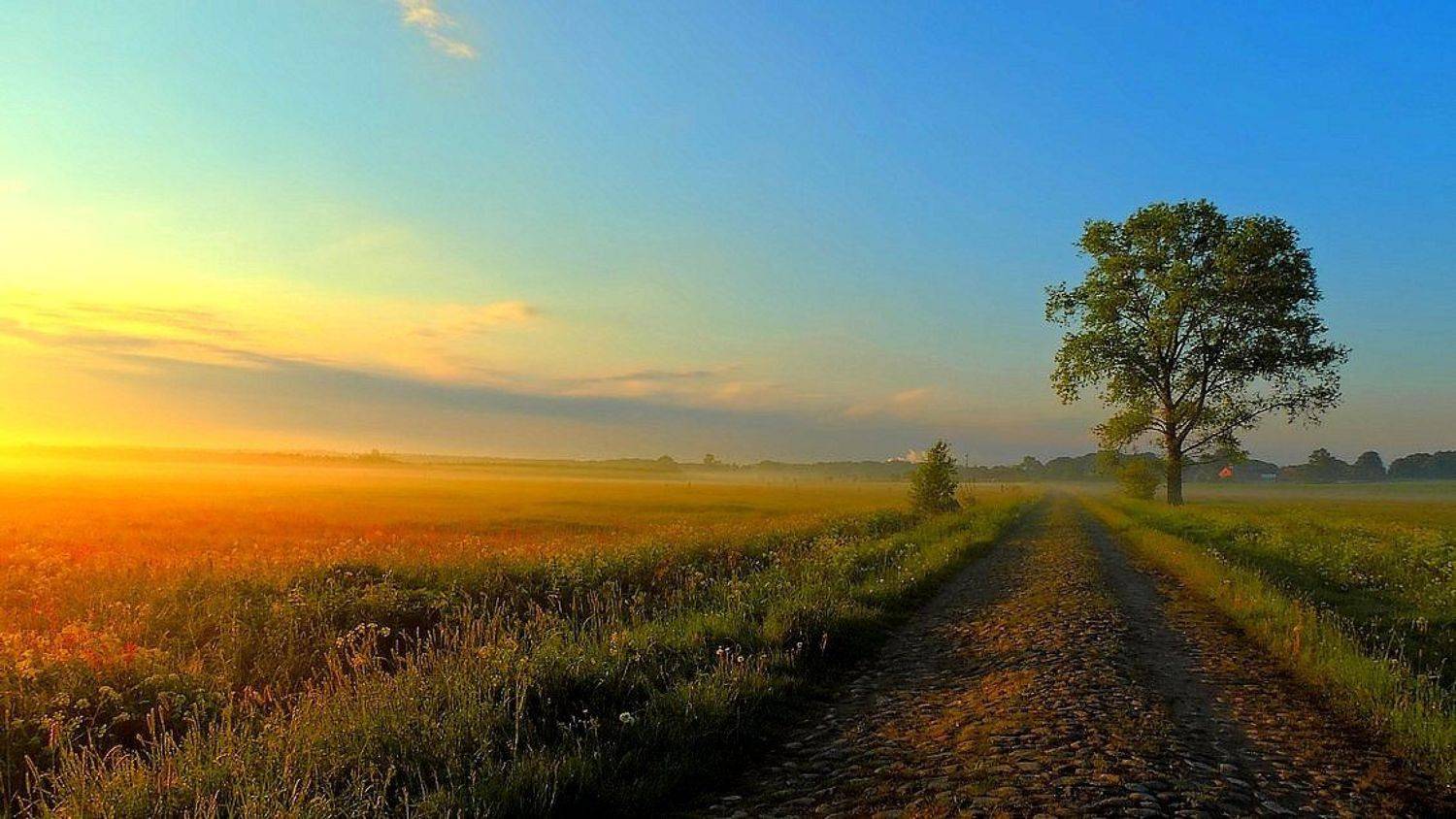 , Zbigniew Walkiewicz