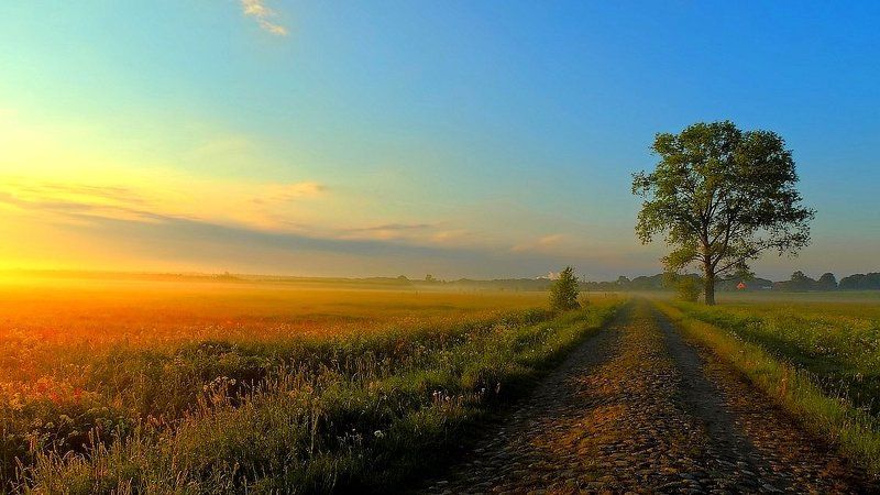 In the morning mist ... фото превью