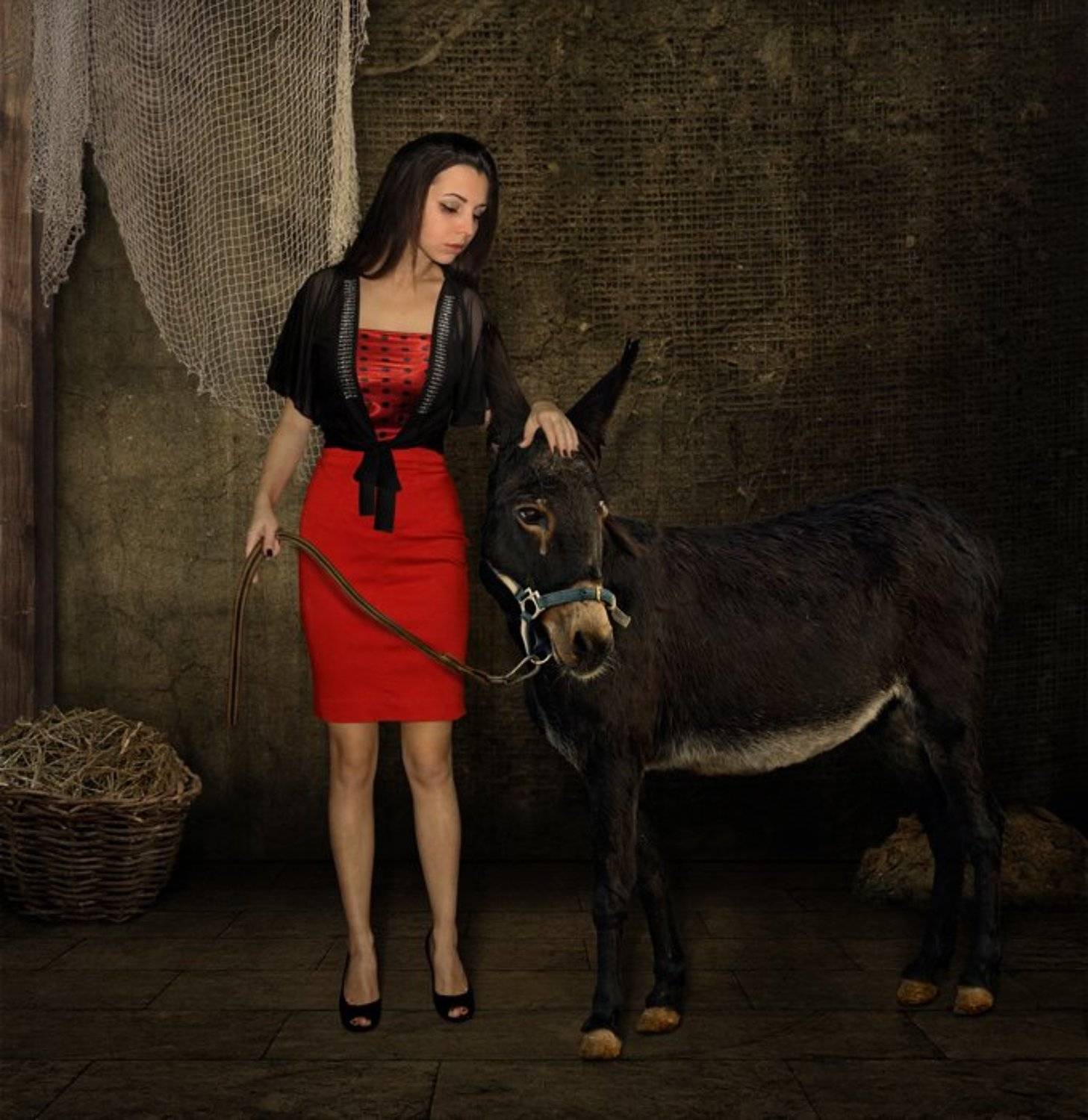 Ведьма, Иллюстрация, КИШ, Осёл, Iridi (Ирина Кузнецова)