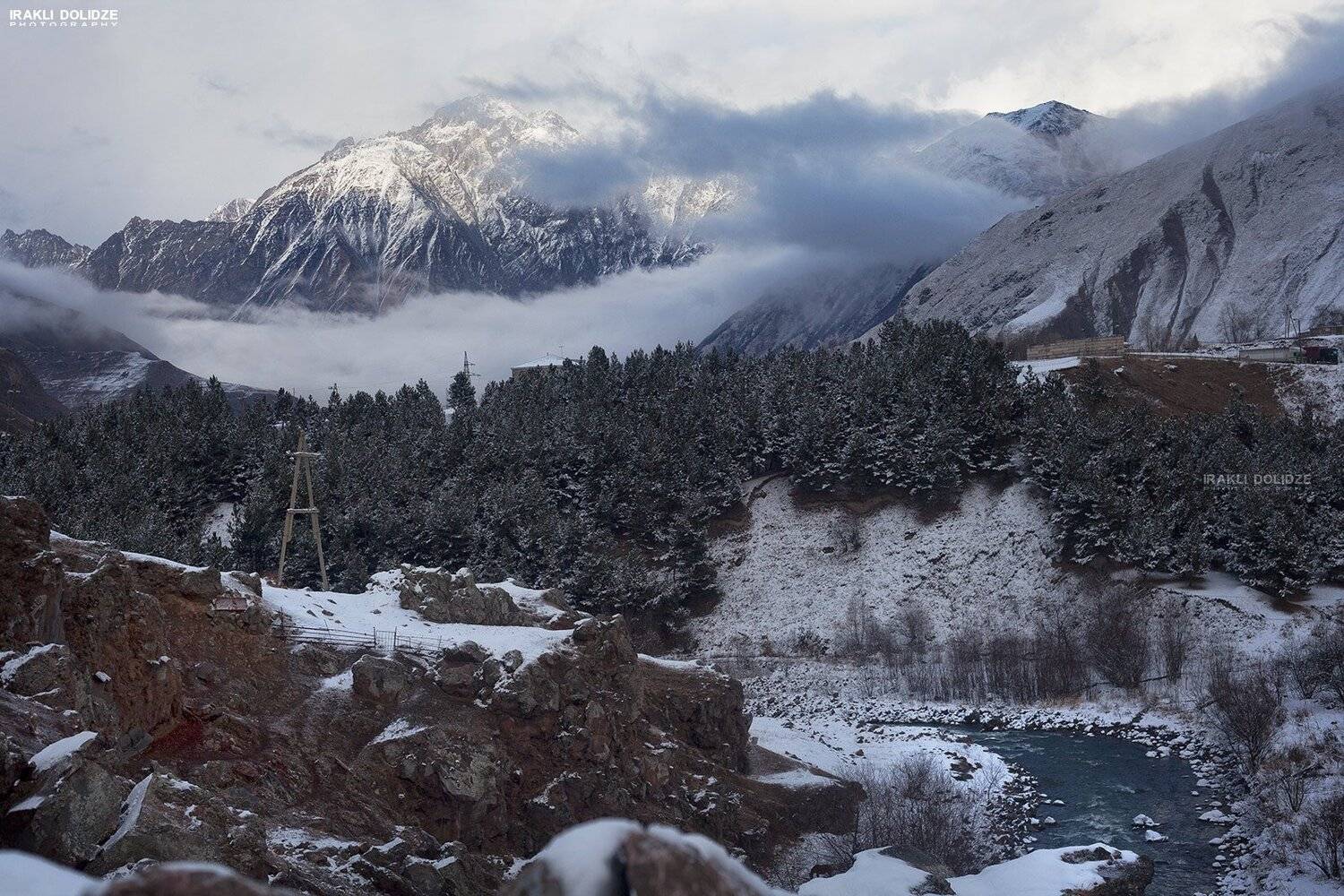 , ირაკლი დოლიძე