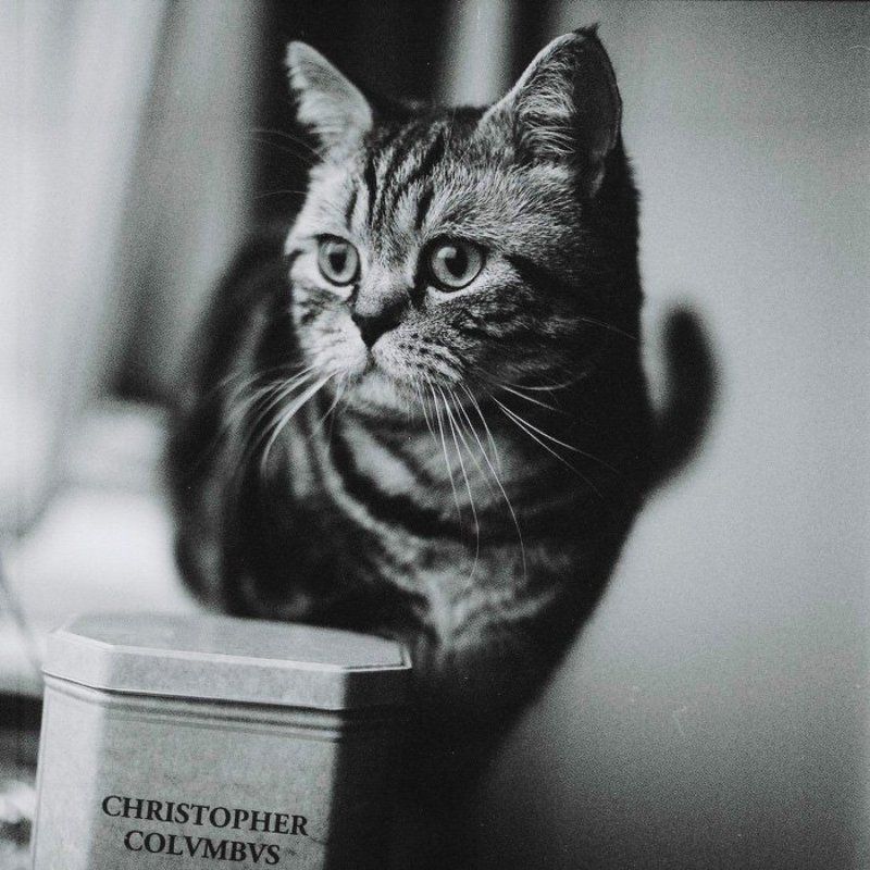 Orion The Discoverer фото превью