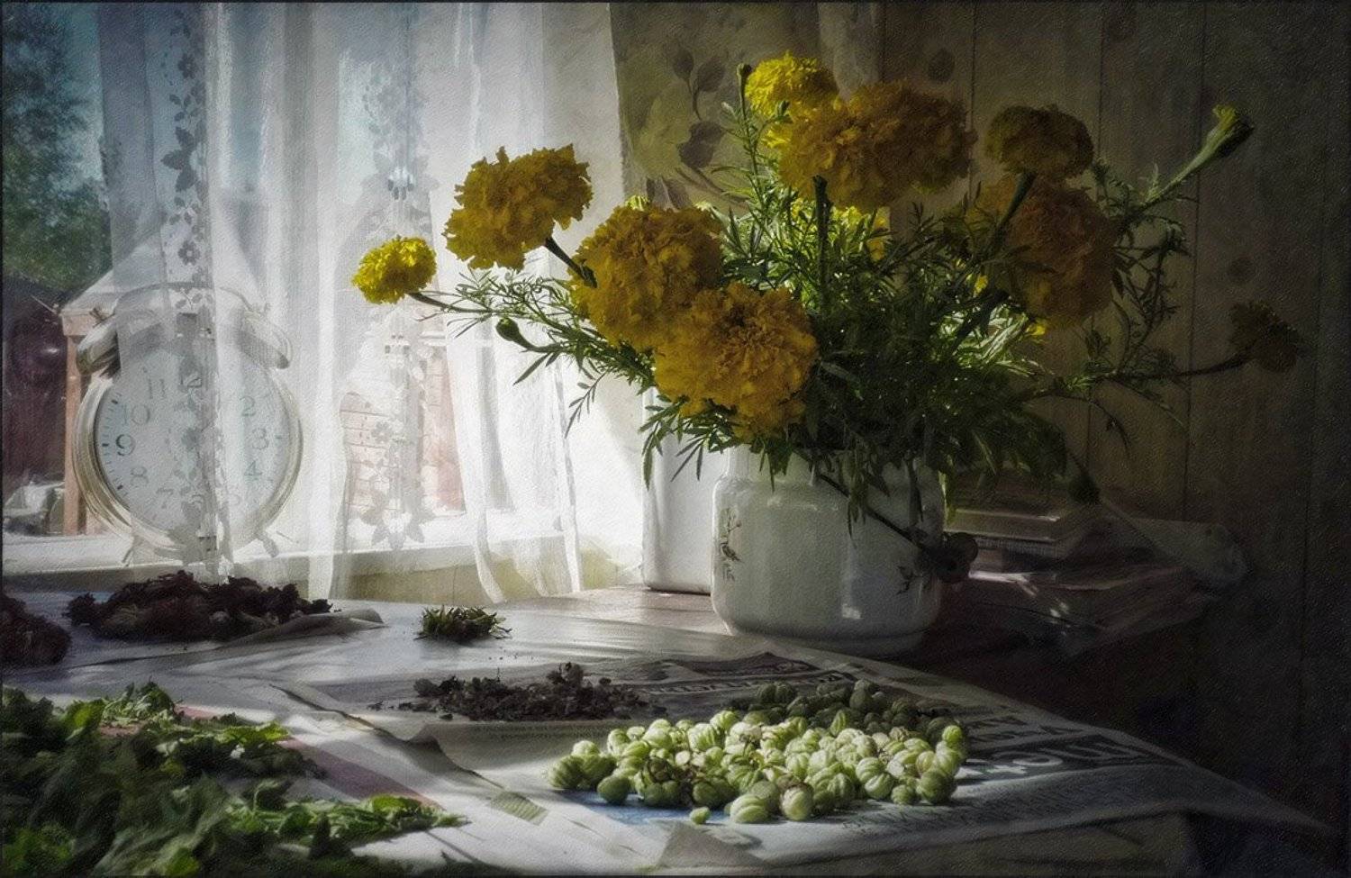 , Ольга Хлуднева