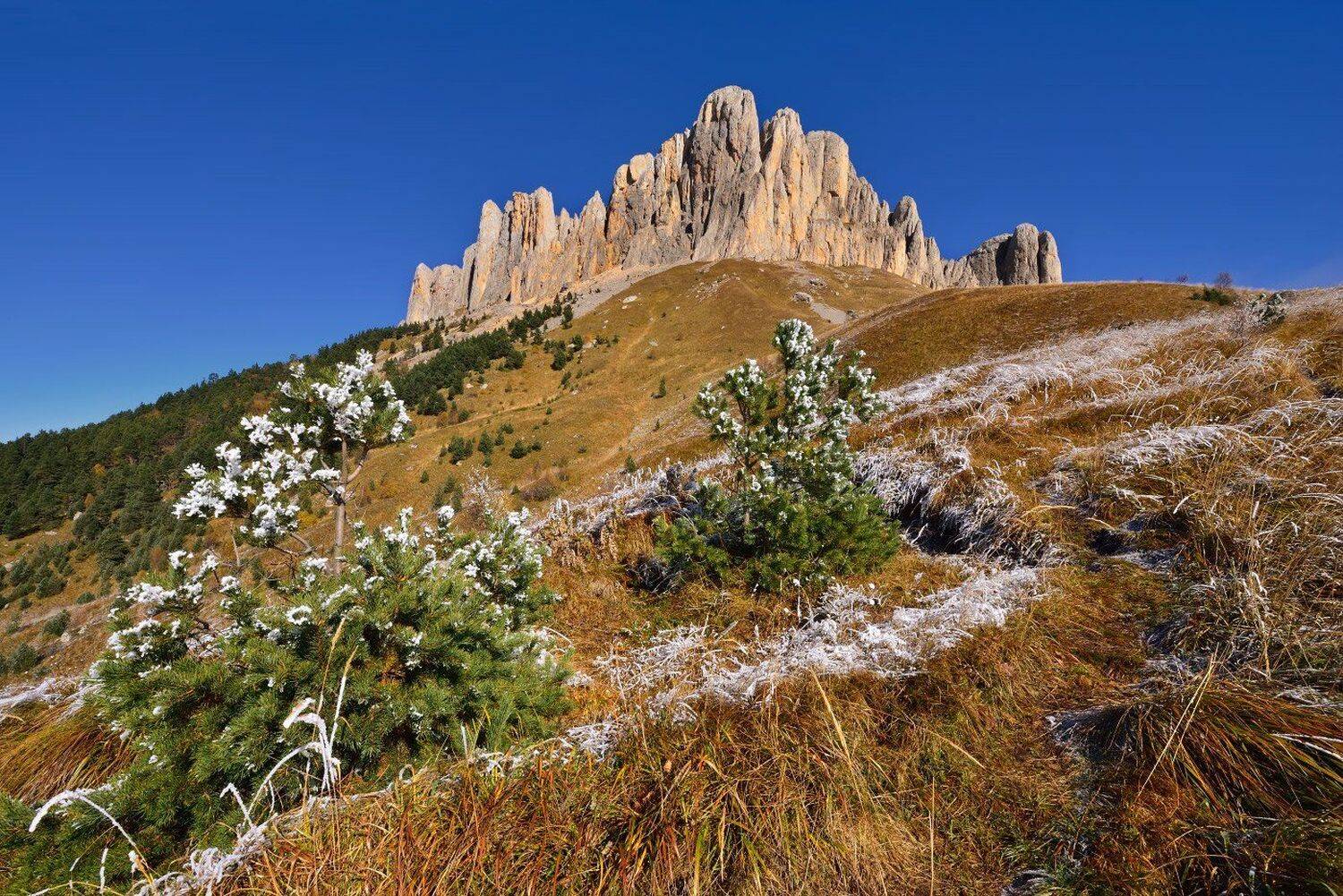 , Максим Евдокимов