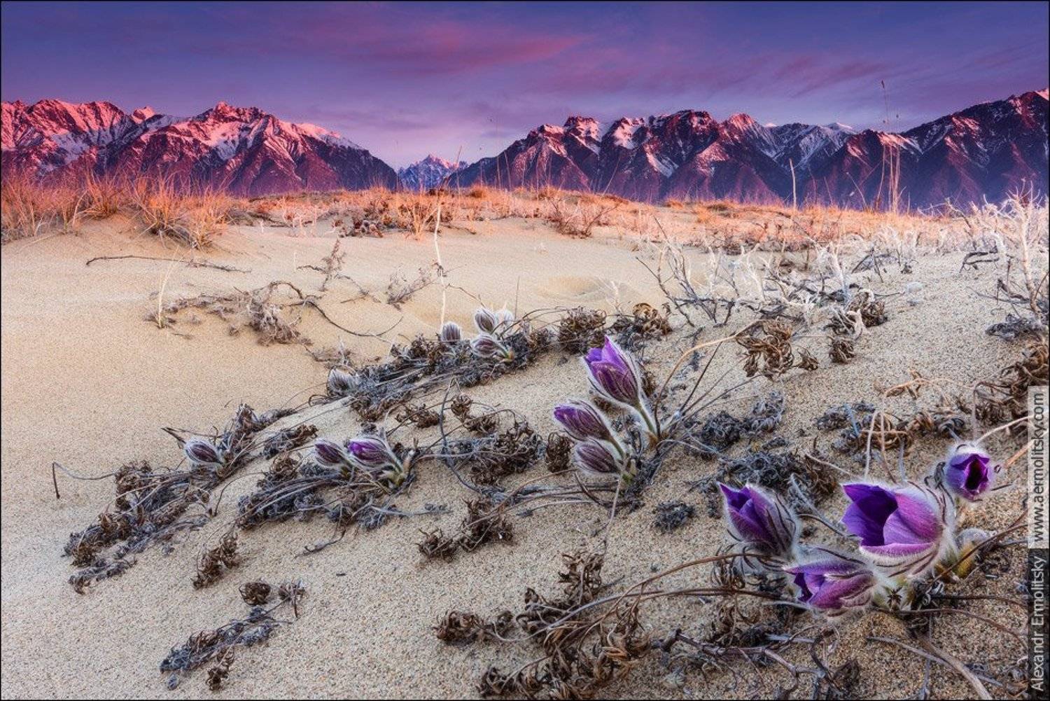 Chara, Zabaikalie, Забайкалье, Чара, Александр Ермолицкий