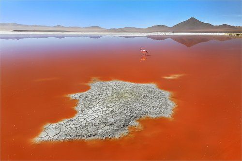 Laguna Colorada, Боливия