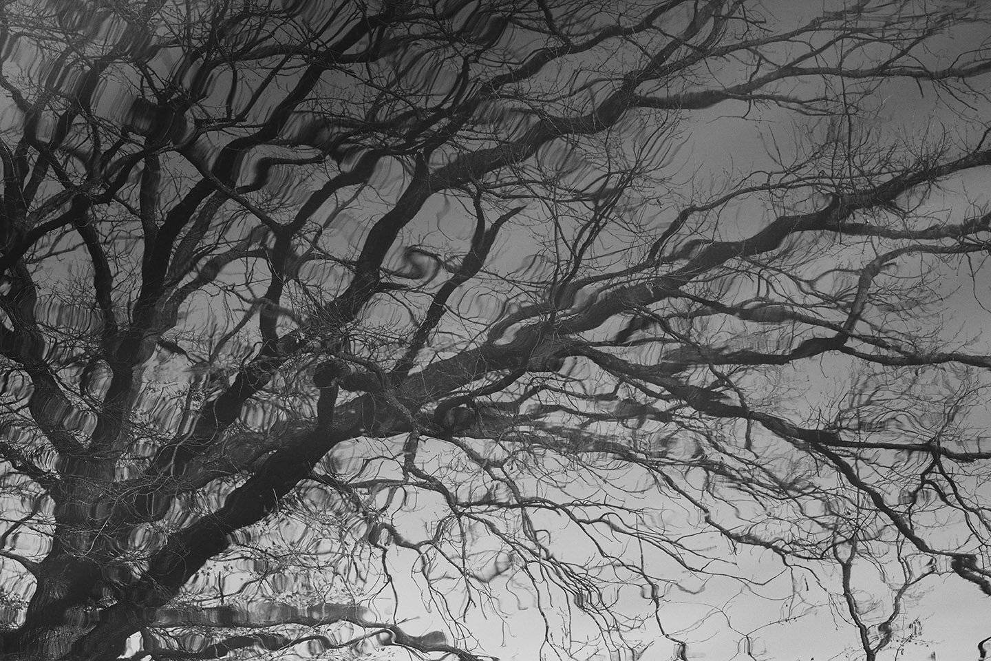 , Роман Рыжков