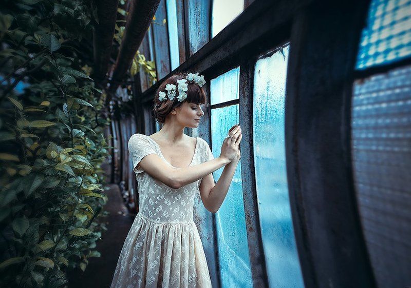 Wonderland фото превью