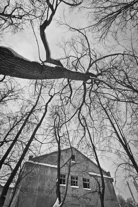 , Шарапов Сергей