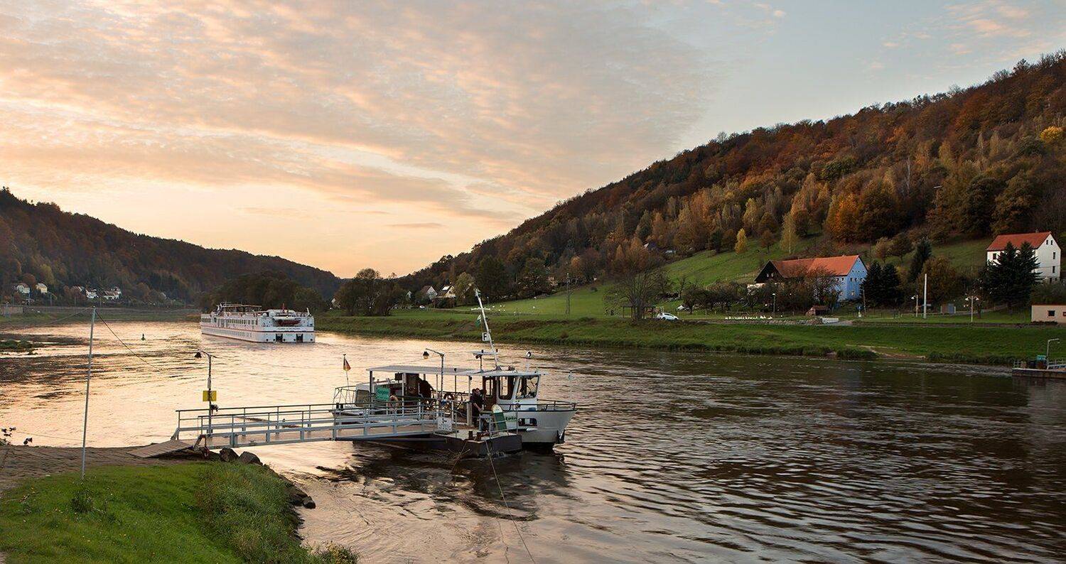 , Игорь Дубровский