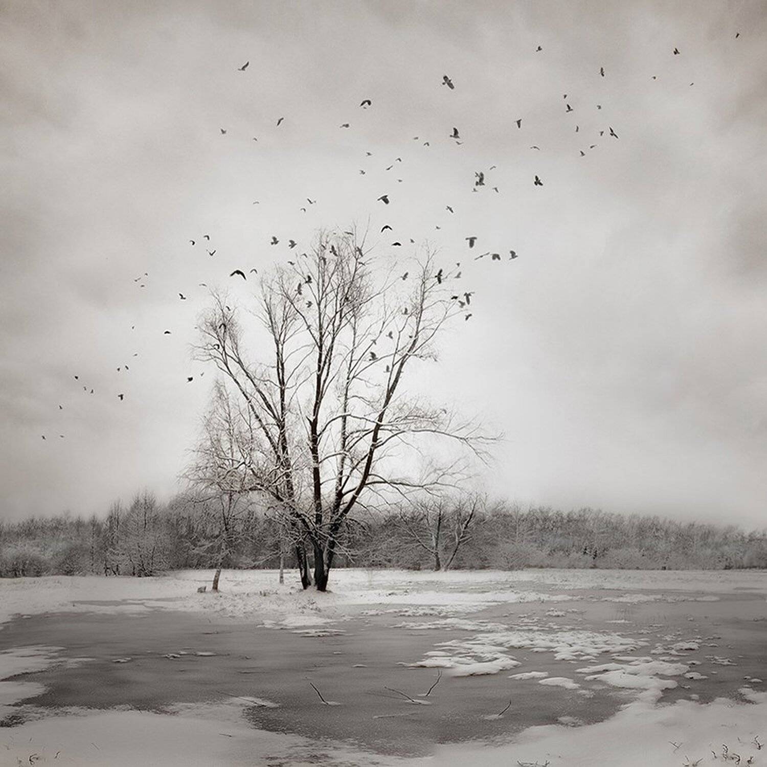 , Сергей Хромов