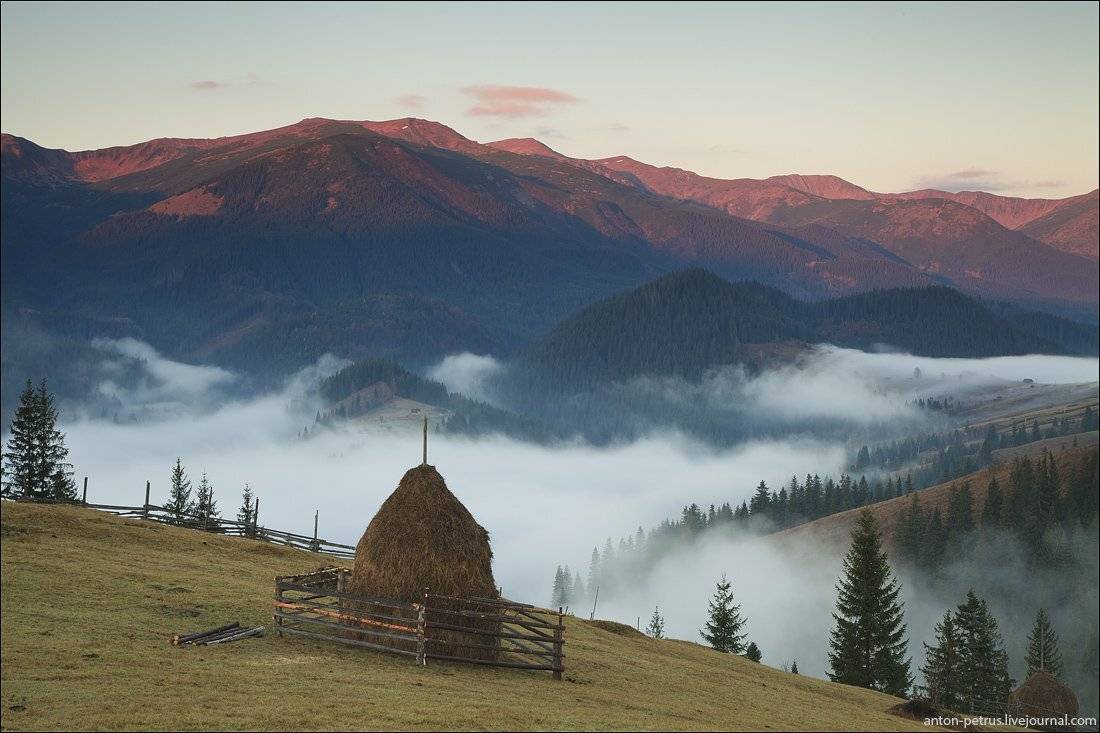 , Антон Петрусь