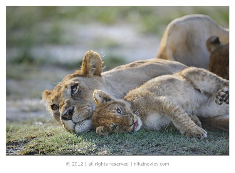 Повторяй за мамой! фото превью