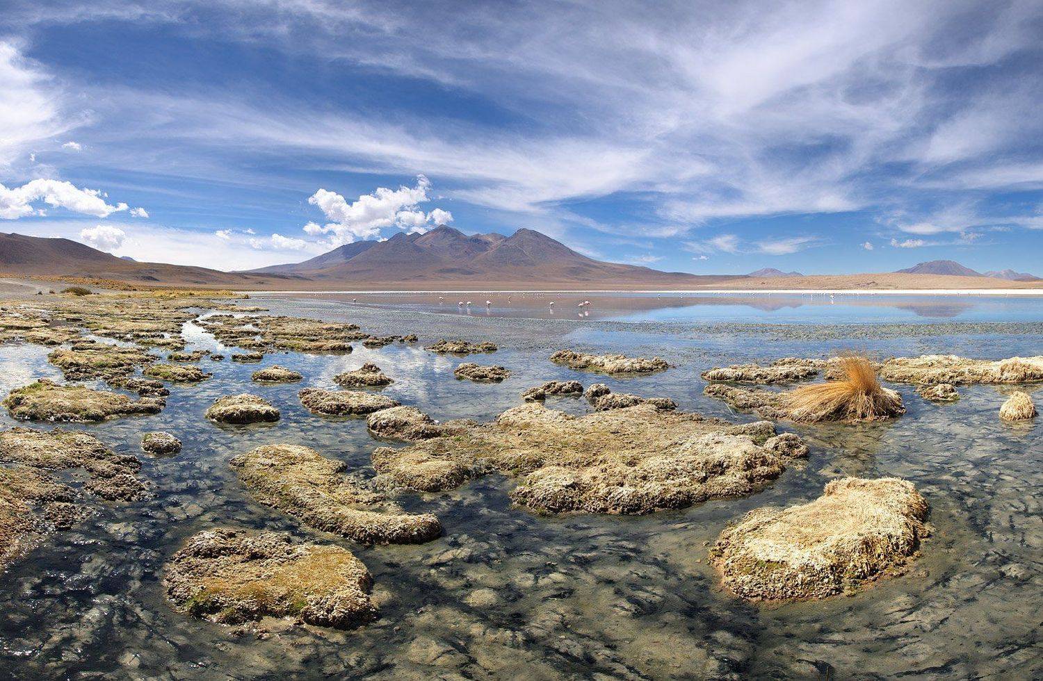 , Виктория Роготнева