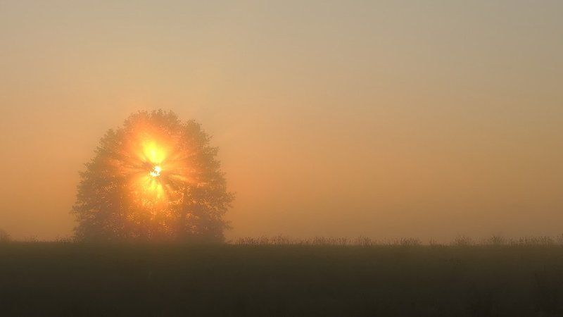 landscape Burning bush ... фото превью
