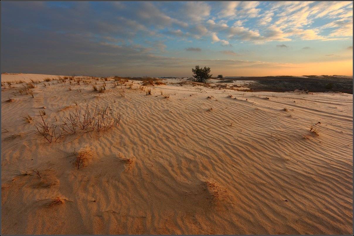 , Михаил (mgk)