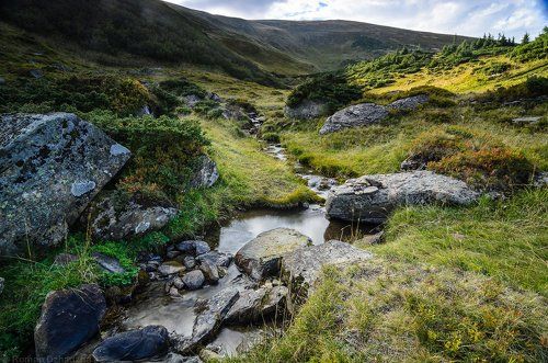 Родниковый ручей