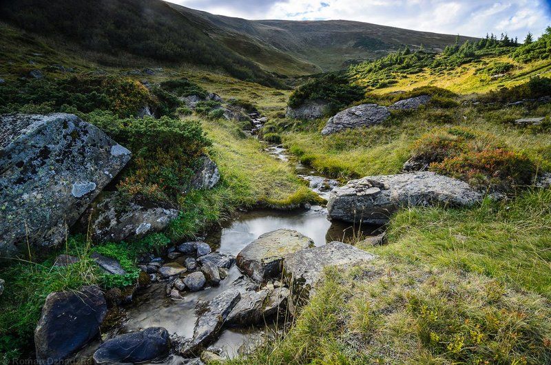 Родниковый ручей фото превью