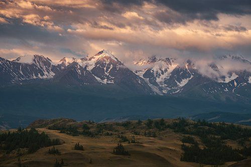 Золотые горы