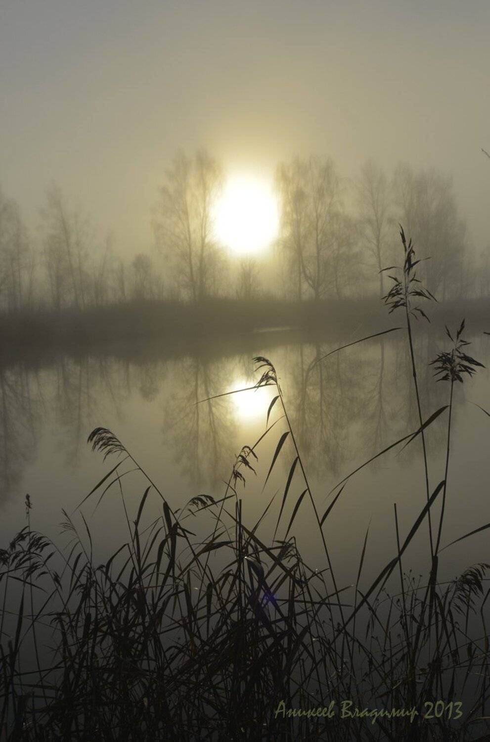 , Аникеев Владимир