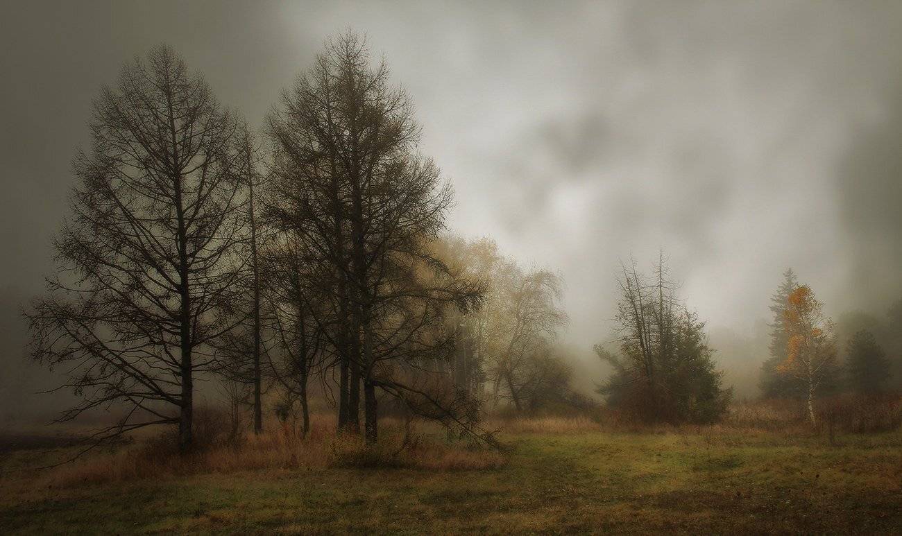 , Михаил  Пилипенко