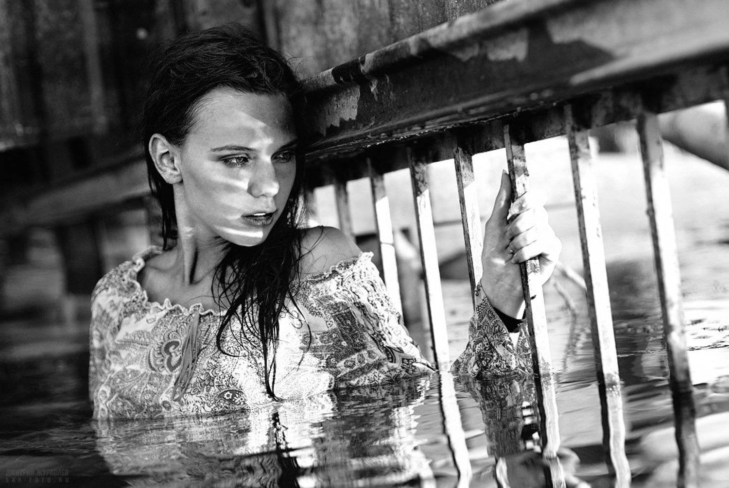 , Дмитрий Журавлев