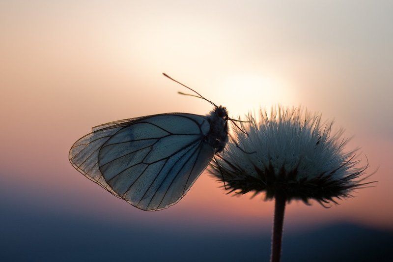 Спать пора фото превью