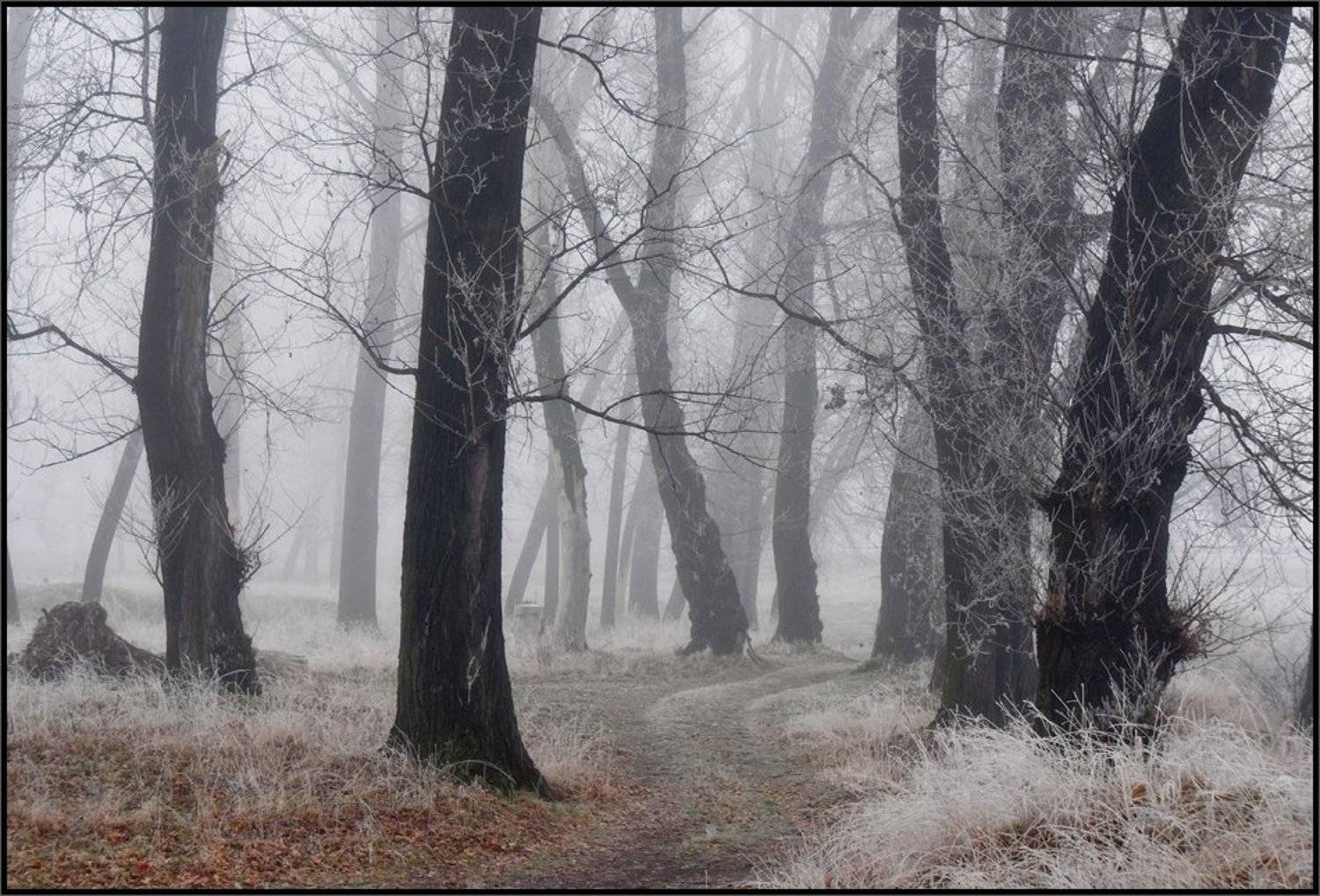 , Svetoslav Georgiev