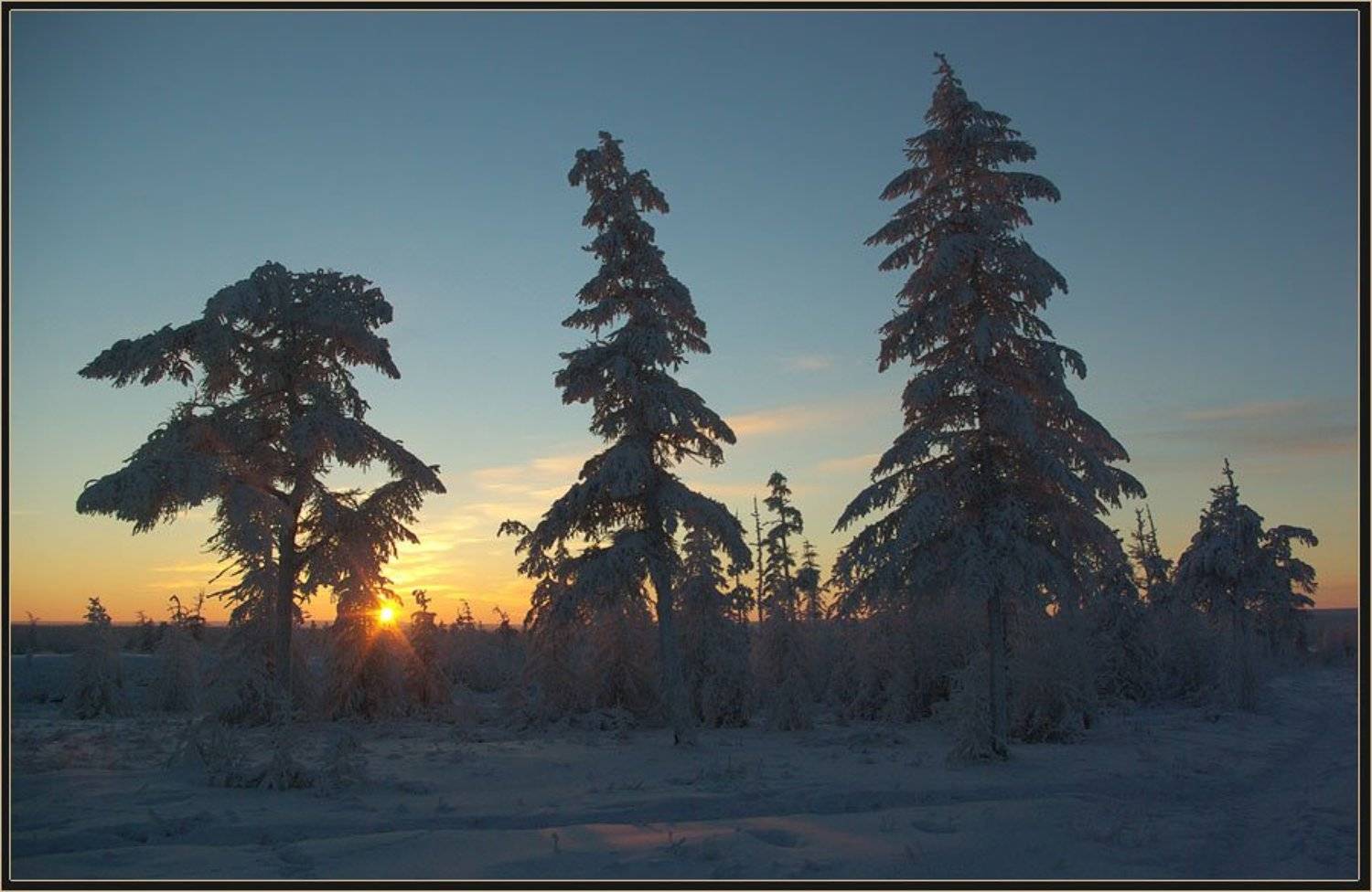 , Солодухин Виктор