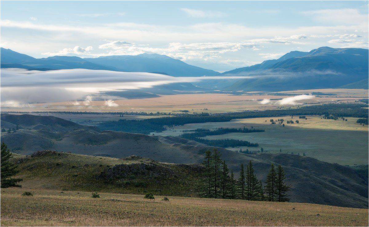 алтай, курайская, степь, Кутыгин Эдуард