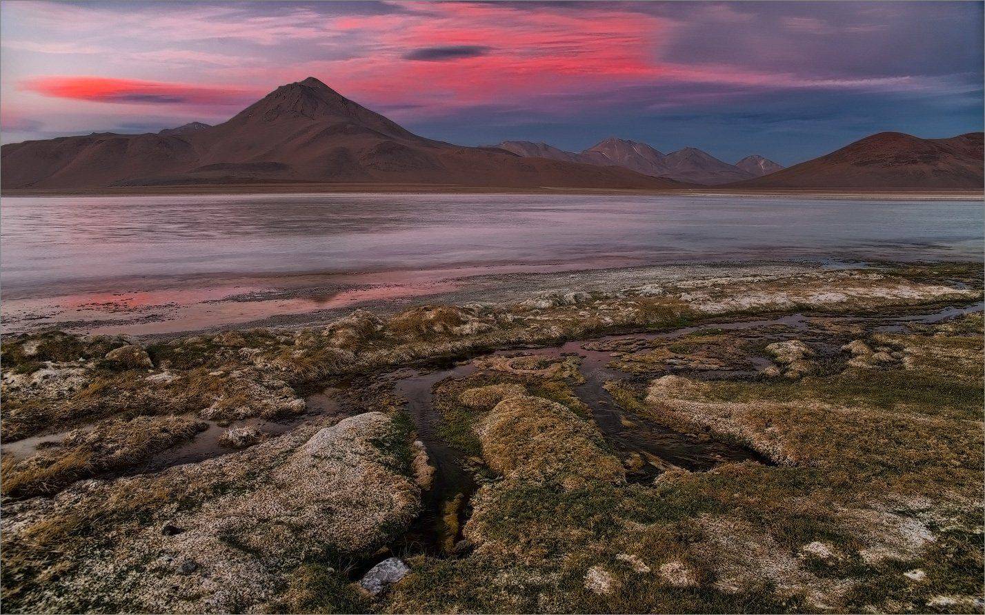 , Алексеевич