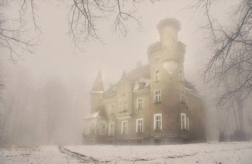 Castle in Beech forest