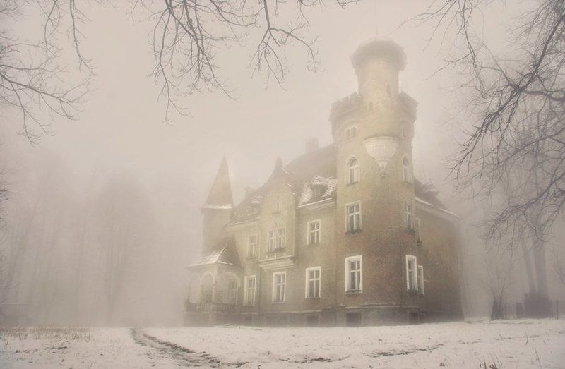 Castle in Beech forest фото превью