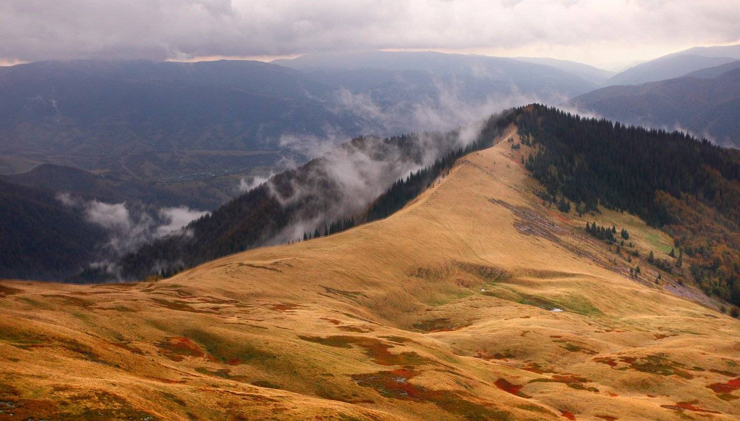 , Юрий Cазин