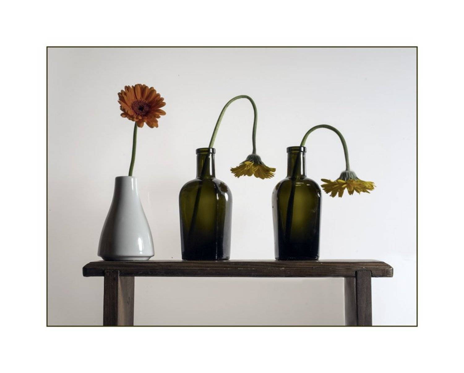 , Людмила Прокофьева