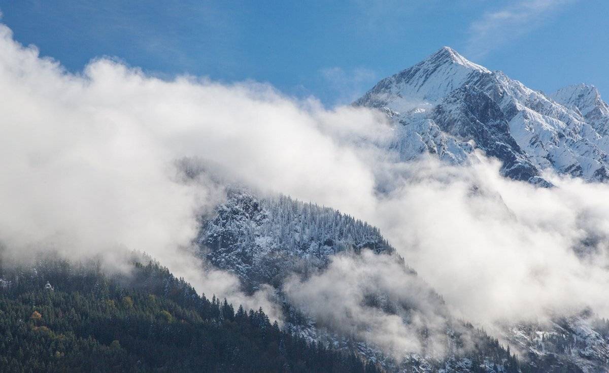 , Александр Удовиченко